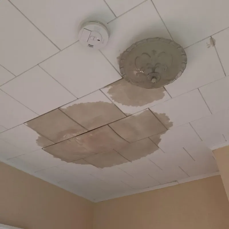Ceiling Water Damage Repair in Watertown, CT