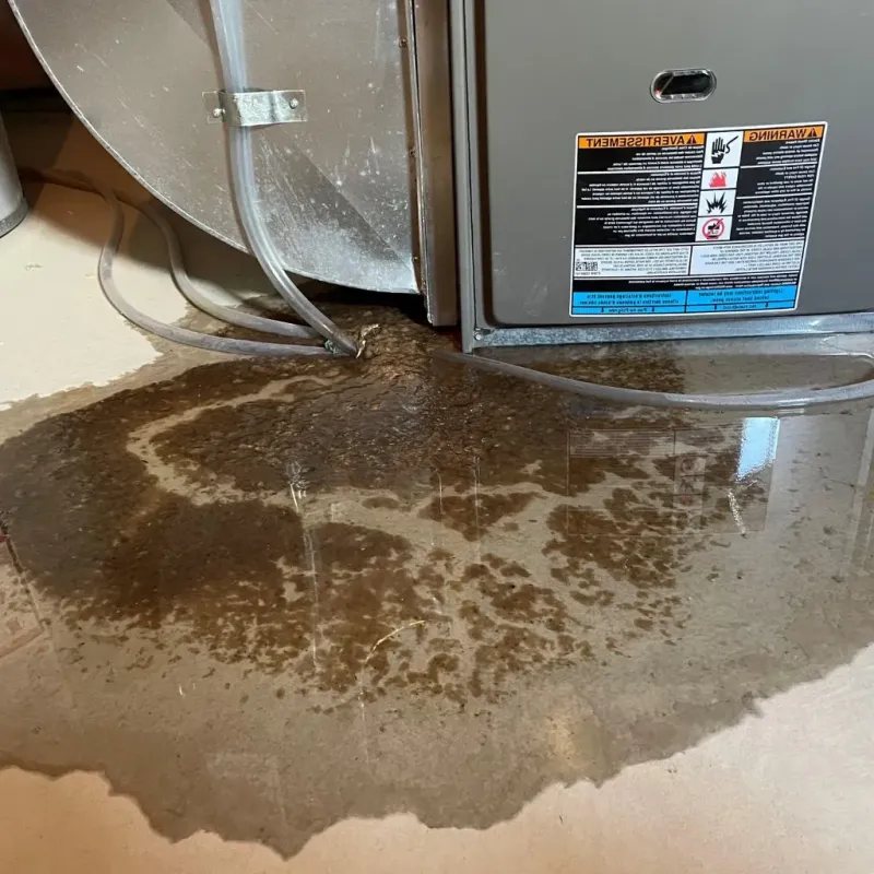 Pipe Burst and Leak Restoration in Watertown, CT