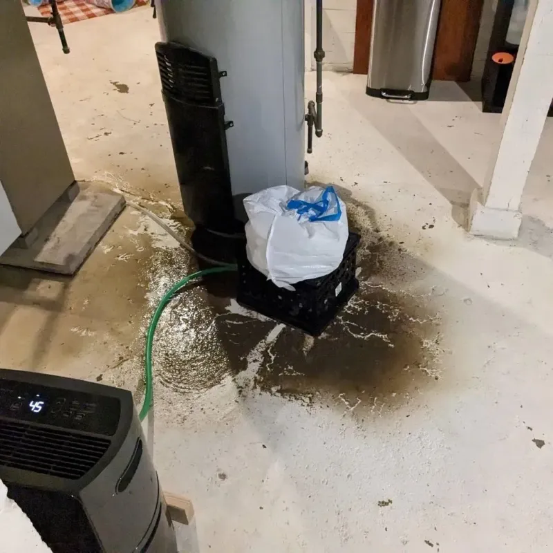 Sewage Backup Cleanup Service in Watertown, CT